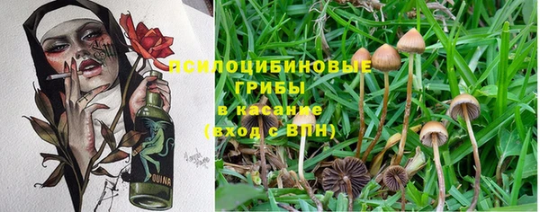 амф Баксан