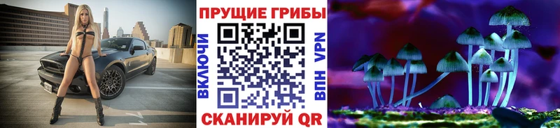 где купить   Ногинск  Псилоцибиновые грибы Psilocybine cubensis 