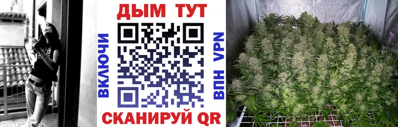 купить наркоту  OMG вход  Конопля гибрид  Ногинск 